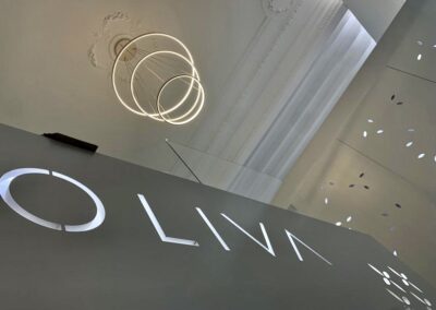 oliva palma 8